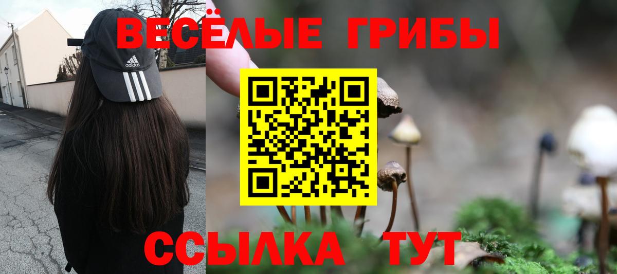 Галлюциногенные грибы MAGIC MUSHROOMS Осинники
