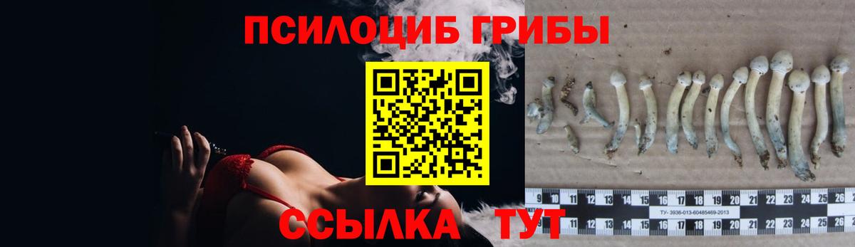 Галлюциногенные грибы мухоморы  Вход с VPN  Осинники 